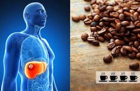 Why Coffee is Good Option In Liver Disease?
